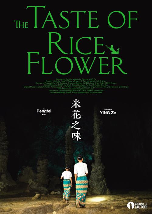 高中毕业证电子注册号编写
